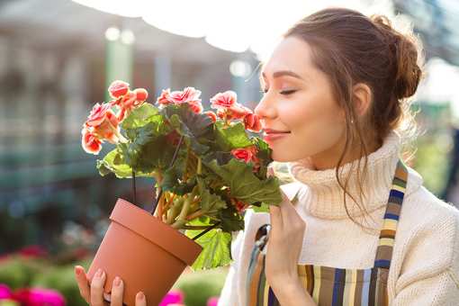 8 Best Garden Centers and Nurseries in New Mexico!